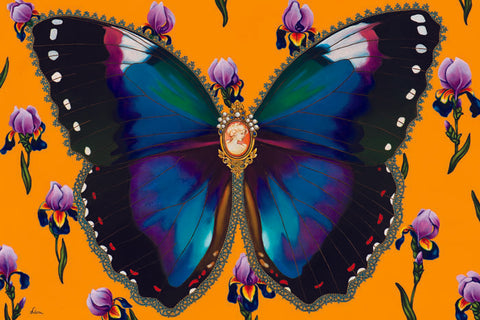 LPF12: Butterfly With Iris