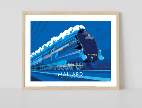 Mallard By Artist Stephen Millership - Premium Art Print