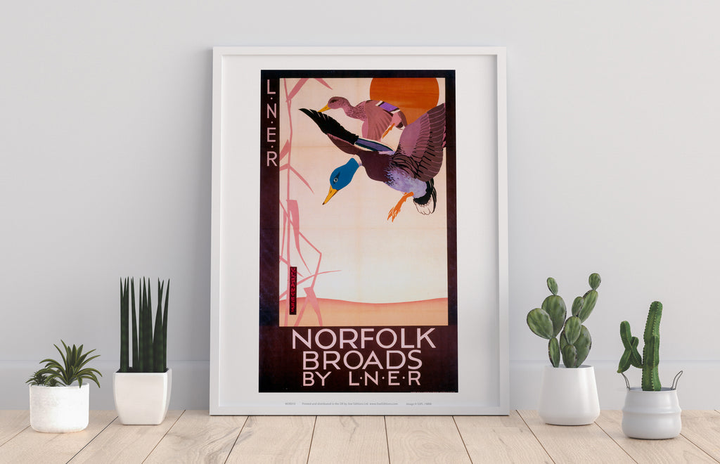 Norfolk Broads Ducks - 11X14inch Premium Art Print