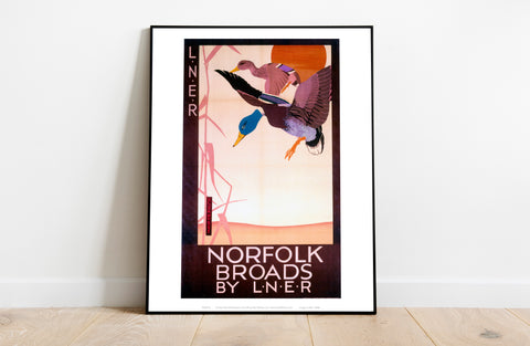 Norfolk Broads Ducks - 11X14inch Premium Art Print
