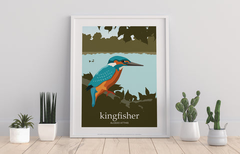 Kingfisher - 11X14inch Premium Art Print