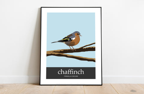 Chaffinch - 11X14inch Premium Art Print