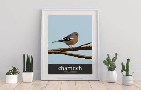 Chaffinch - 11X14inch Premium Art Print