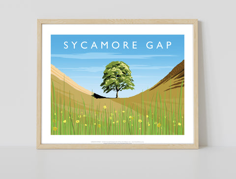 Sycamore Gap By Artist Richard O'Neill - Premium Art Print