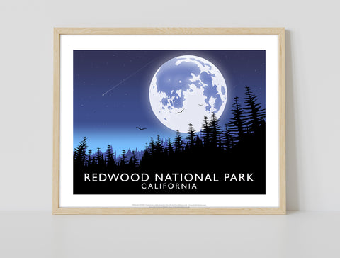 Redwood National Park, California -Richard O'Neill Art Print
