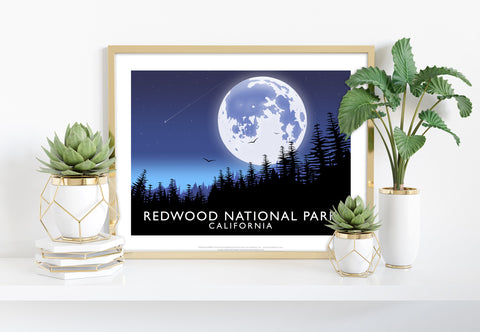 Redwood National Park, California -Richard O'Neill Art Print