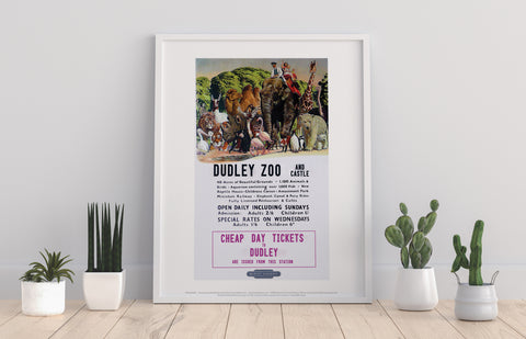 Dudley Zoo And Zoo - 11X14inch Premium Art Print