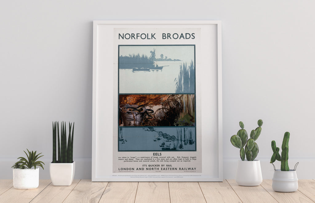 Norfolk Broads - Eels - 11X14inch Premium Art Print