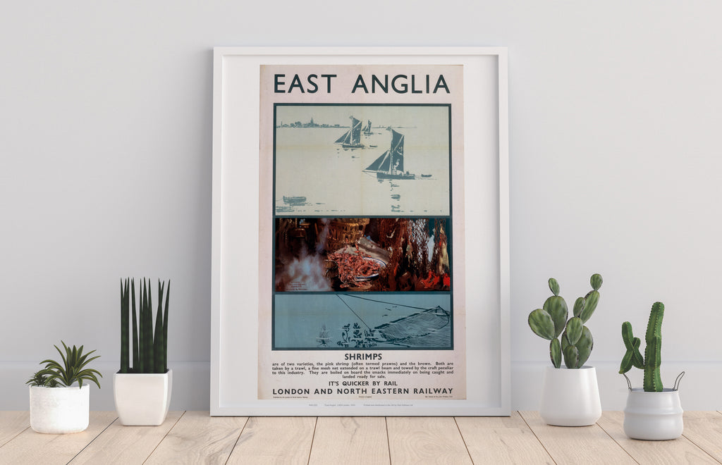 East Anglia - Shrimps - 11X14inch Premium Art Print