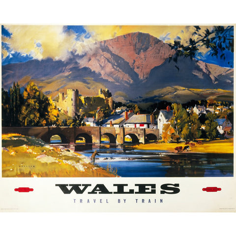 Wales Travel by Train 24" x 32" Matte Mounted Print