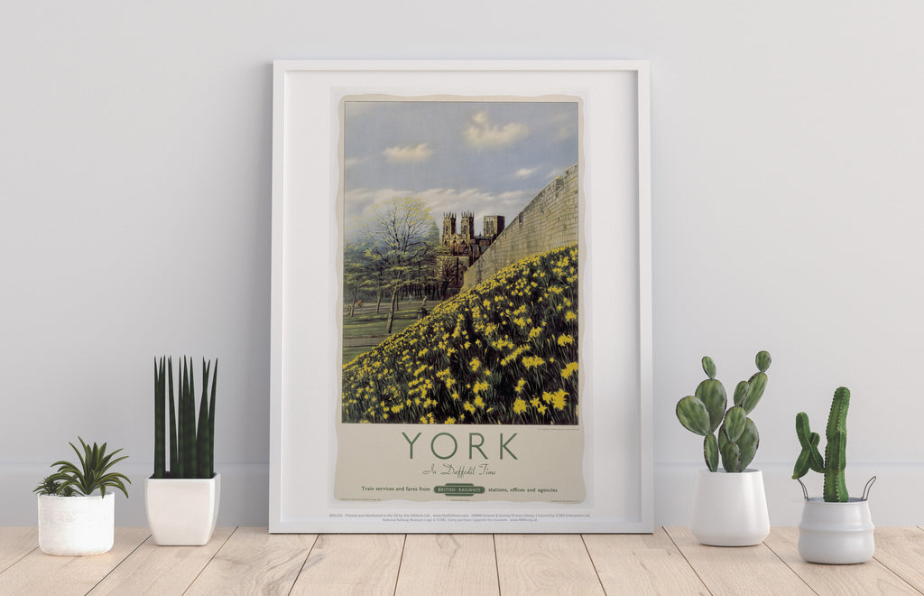 York, Yellow Flowers - 11X14inch Premium Art Print