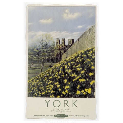 York Yellow Flowers 24" x 32" Matte Mounted Print