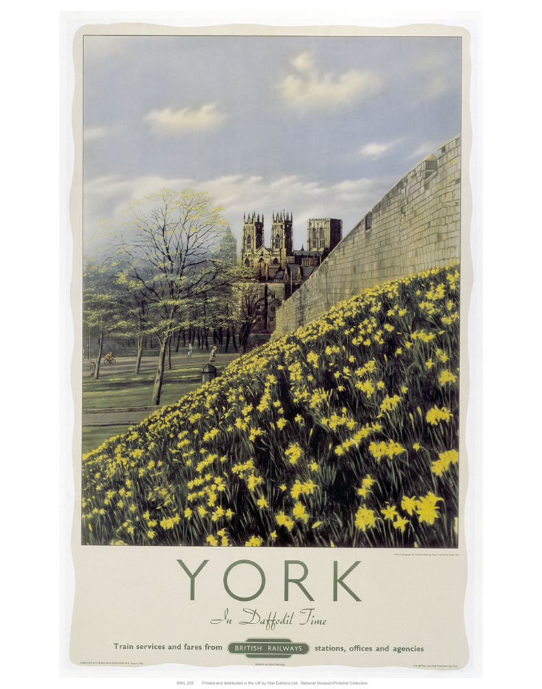 York Yellow Flowers 24" x 32" Matte Mounted Print