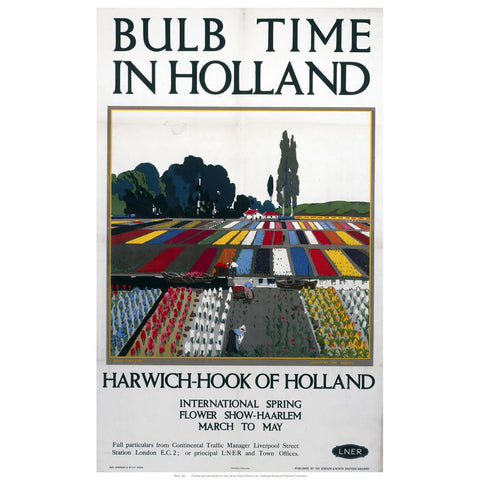 bulb time in Holland 24" x 32" Matte Mounted Print
