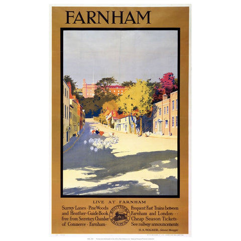 Farnham Sheep 24" x 32" Matte Mounted Print