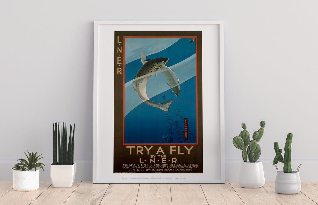 Try A Fly - 11X14inch Premium Art Print