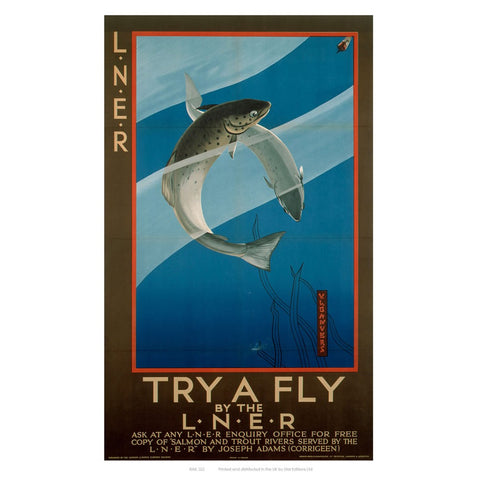 Try a Fly 24" x 32" Matte Mounted Print