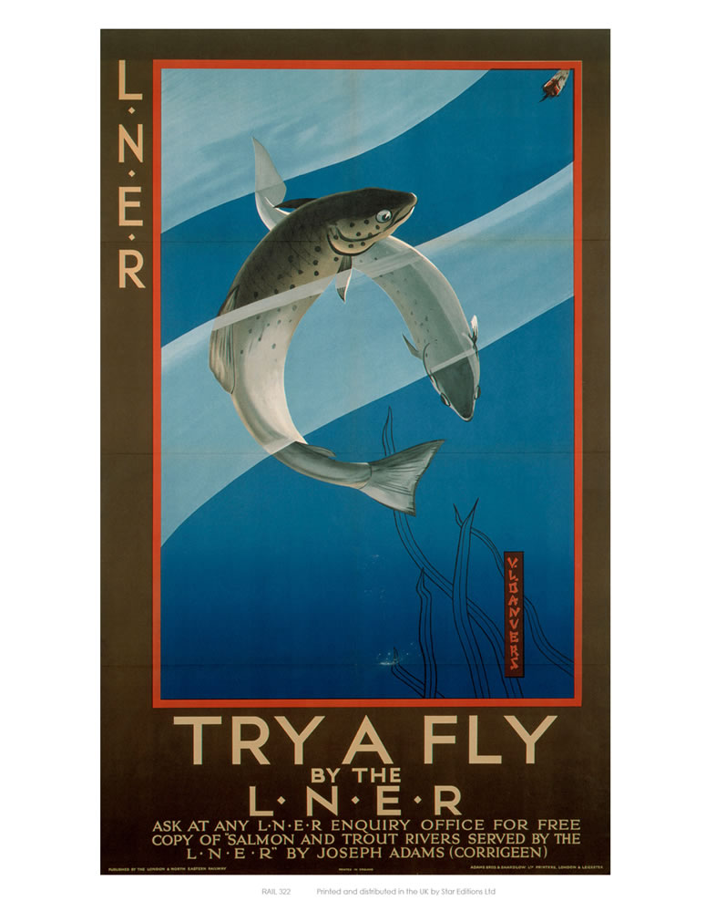 Try a Fly 24" x 32" Matte Mounted Print