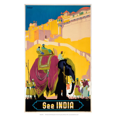 See India - Elephant 24" x 32" Matte Mounted Print