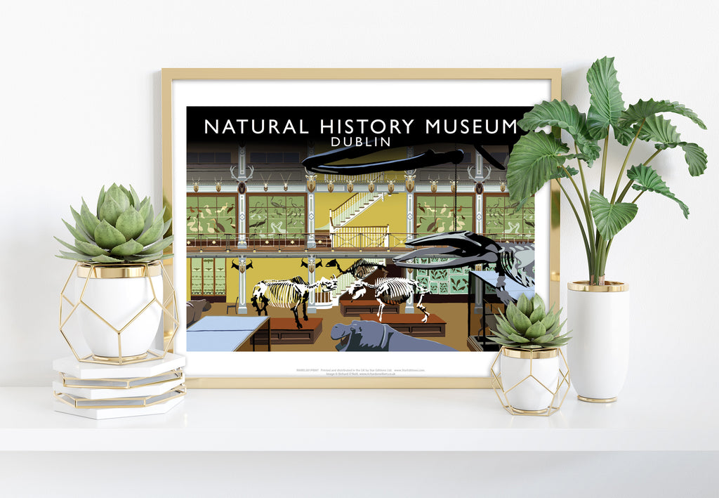 Natural Histroy Museum, Dublin - Richard O'Neill Art Print
