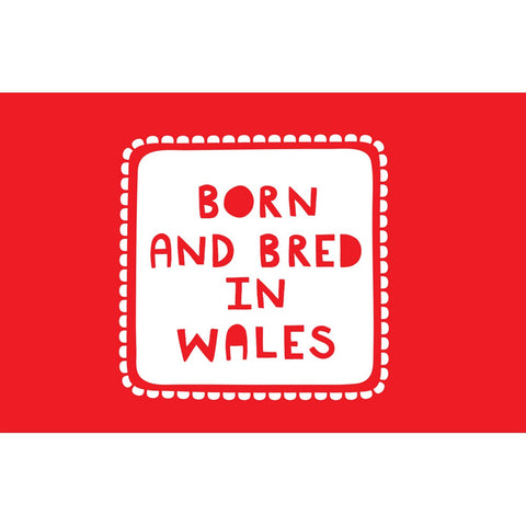 Born And Bred In Wales 20cm x 20cm Mini Mounted Print