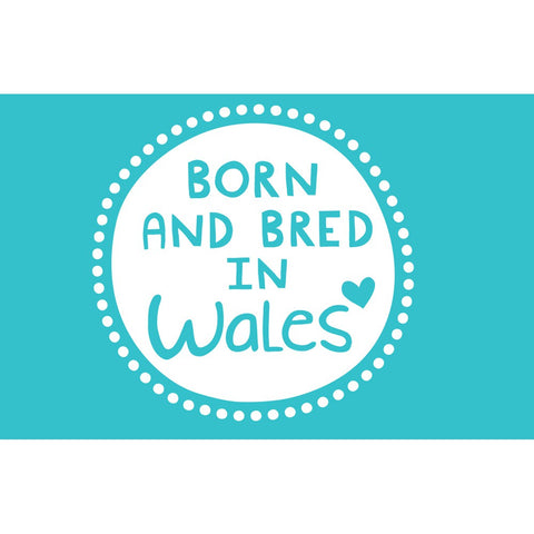 Born And Bred In Wales 20cm x 20cm Mini Mounted Print