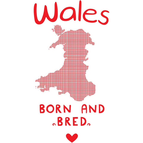 Wales Born and Bred 20cm x 20cm Mini Mounted Print