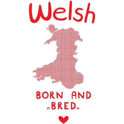 Welsh Born and Bred 20cm x 20cm Mini Mounted Print