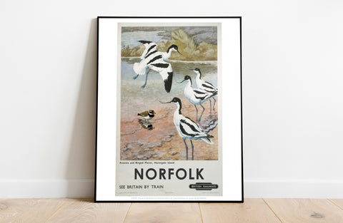 British Railways Advert- Suffolk 2 - Premium Art Print