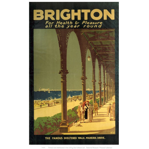 Brighton for Health and Pleasure 24" x 32" Matte Mounted Print