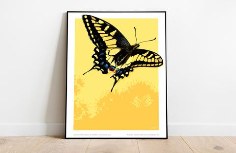 Swallowail Butterfly - 11X14inch Premium Art Print