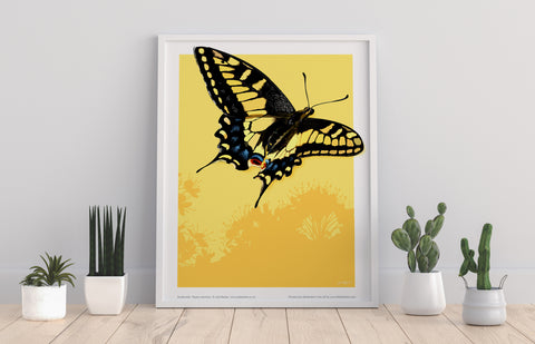 Swallowail Butterfly - 11X14inch Premium Art Print