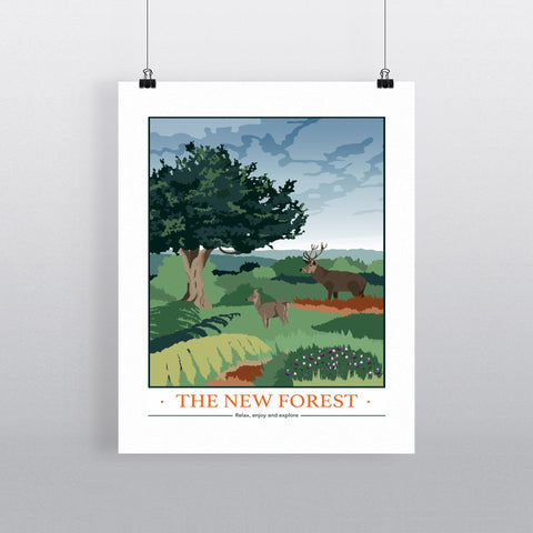 The New Forest, Hampshire 11x14 Print