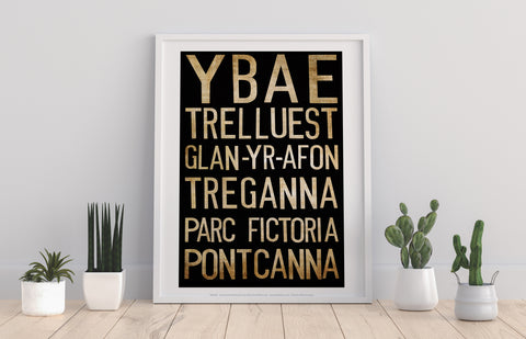 Glan-Yr-Afon, Treganna, Parc Fictoria, Pontcanna Art Print