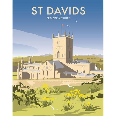 THOMPSON225: St.Davids, Wales 24" x 32" Matte Mounted Print