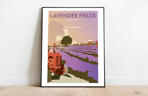 Lavender Fields By Artist Dave Thompson - Premium Art Print