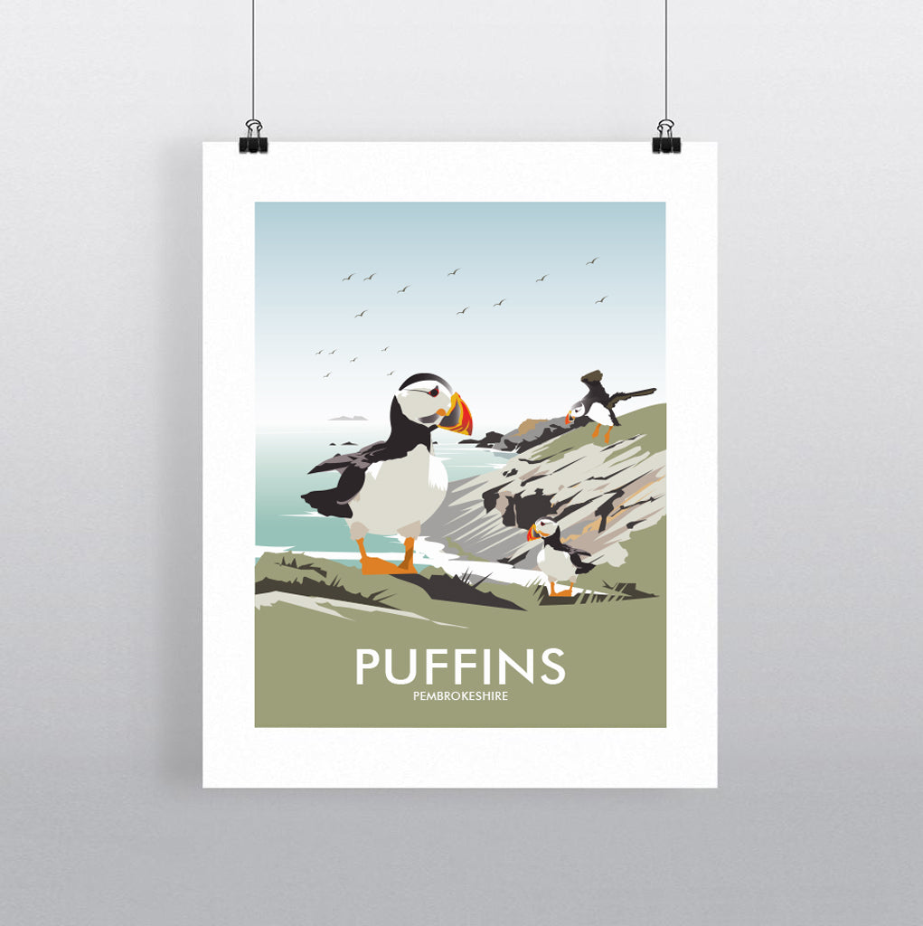 THOMPSON564: Puffins Pembrokeshire. Greeting Card 6x6