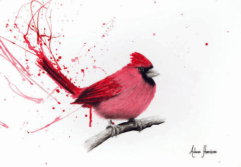 AHVIN143: Curious Cardinal