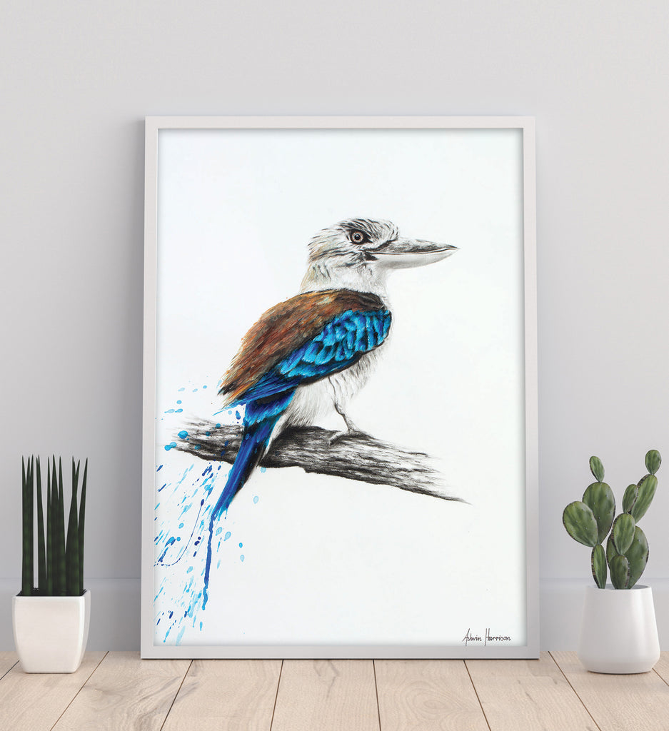 AHVIN14: Blue Kookaburra