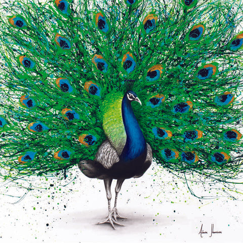 AHVIN195: Pavo Pthalo