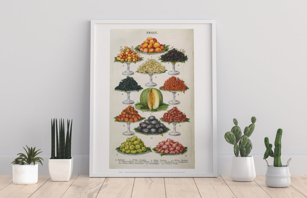 Vintage Retro Poster Of Of Fruit - 11X14inch Premium Art Print