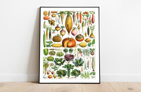 Vegetables Catagorized Up In Numbers 1 To 84 - Art Print