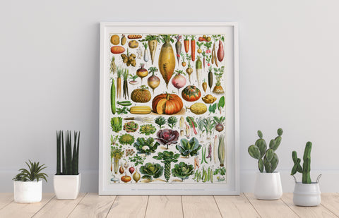 Vegetables Catagorized Up In Numbers 1 To 84 - Art Print