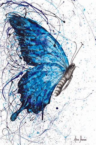 AHVIN225: Blue Butterfly Rains