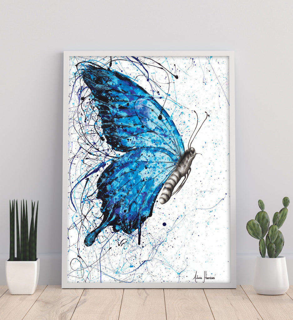 AHVIN225: Blue Butterfly Rains
