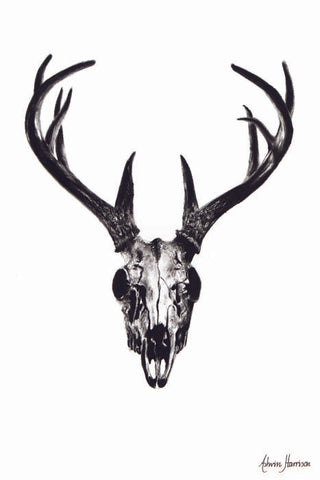 AHVIN22: Deer Skull