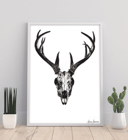 AHVIN22: Deer Skull