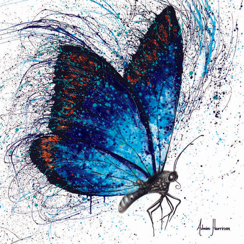 AHVIN405: Lone Shy Butterfly