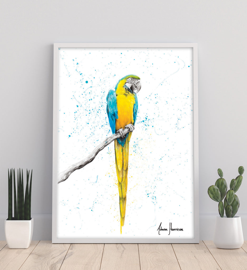 AHVIN419: Mischievous Macaw