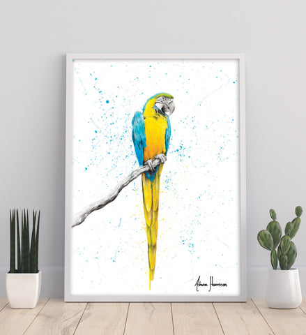 AHVIN419: Mischievous Macaw